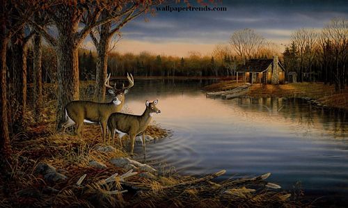 Lodge And Cabin Accessories Home Deer Wall Mural