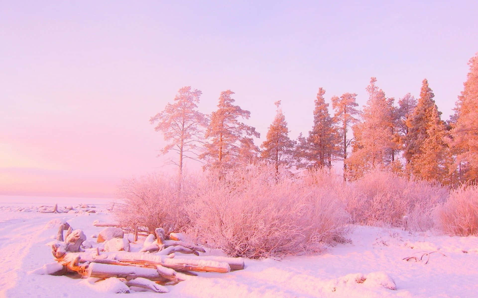 Pink Aesthetic Wallpaper