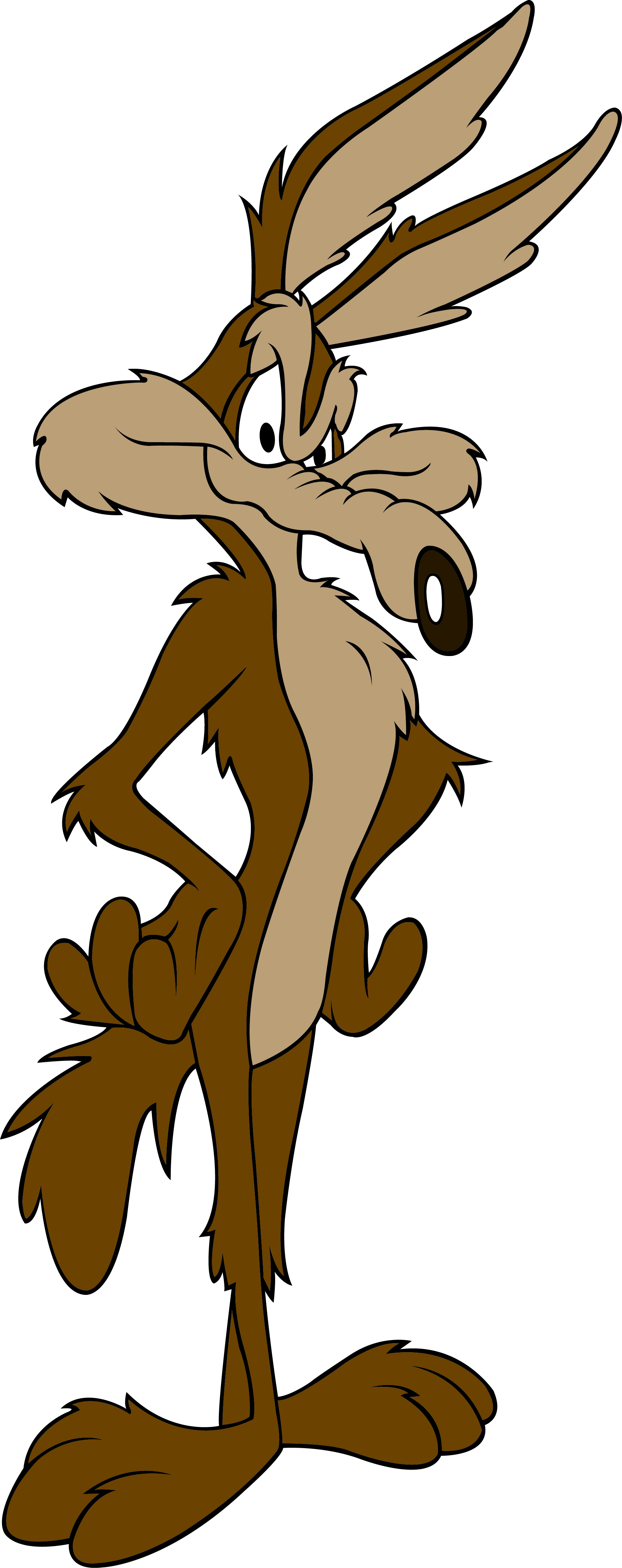 Looney Tunes Wile E Coyote HD Wallpaper General