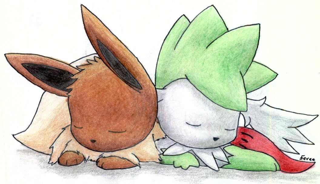 Eevee And Shaymin HD Wallpaper Background