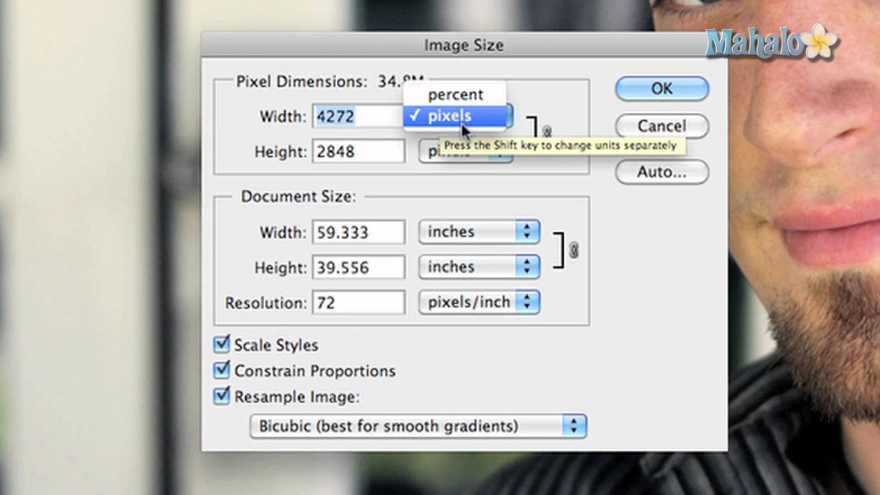 Learn Adobe Photoshop Image Size Options