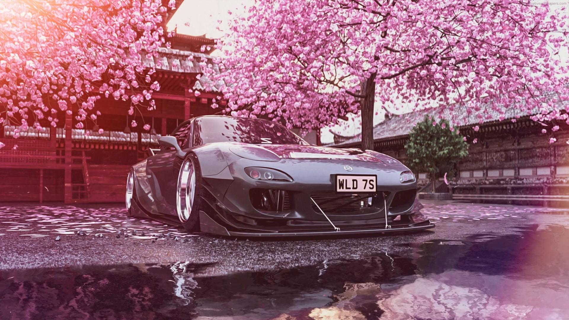 A sleek, modified Mazda RX-7 sports car parked in front of a traditional Japanese temple adorned with blooming cherry blossom trees. The car reflects the soft pink light of the blossoms and adds a touch of modern style to the serene setting