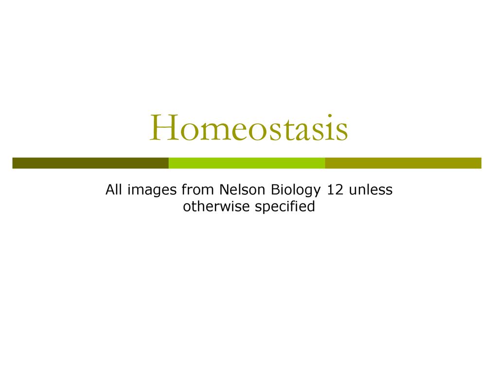 All Image From Nelson Biology Unless Otherwise Specified Ppt