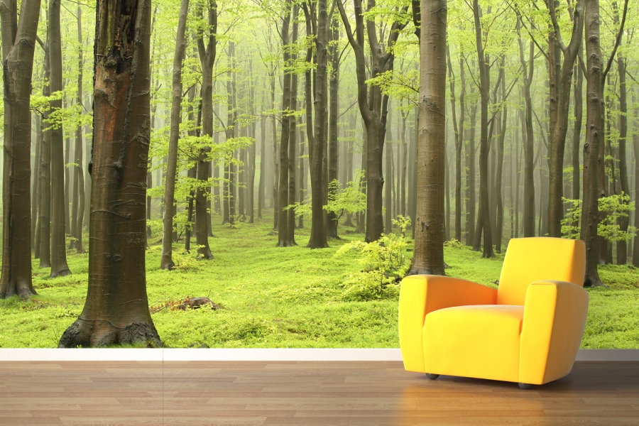 Wallpaper Decals and Wall Murals Trees Edition Furniture Home 900x600