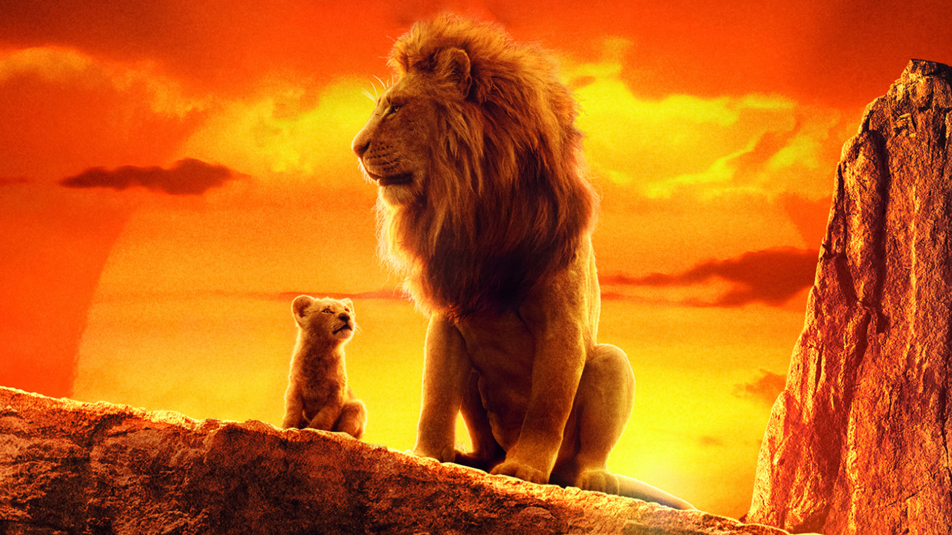 The Lion King 4k Movie Laptop Full HD 1080p Wallpaper Image