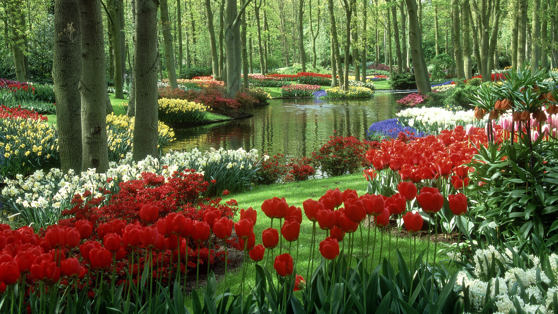 Beautiful Spring Desktop Wallpaper Image