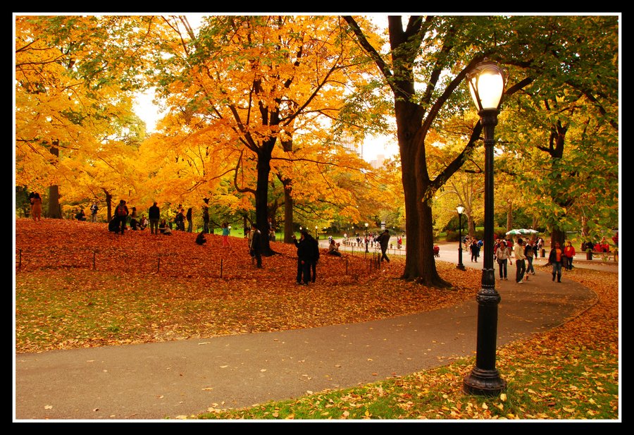 Autumn Central Park By Hkhkhkhkhk