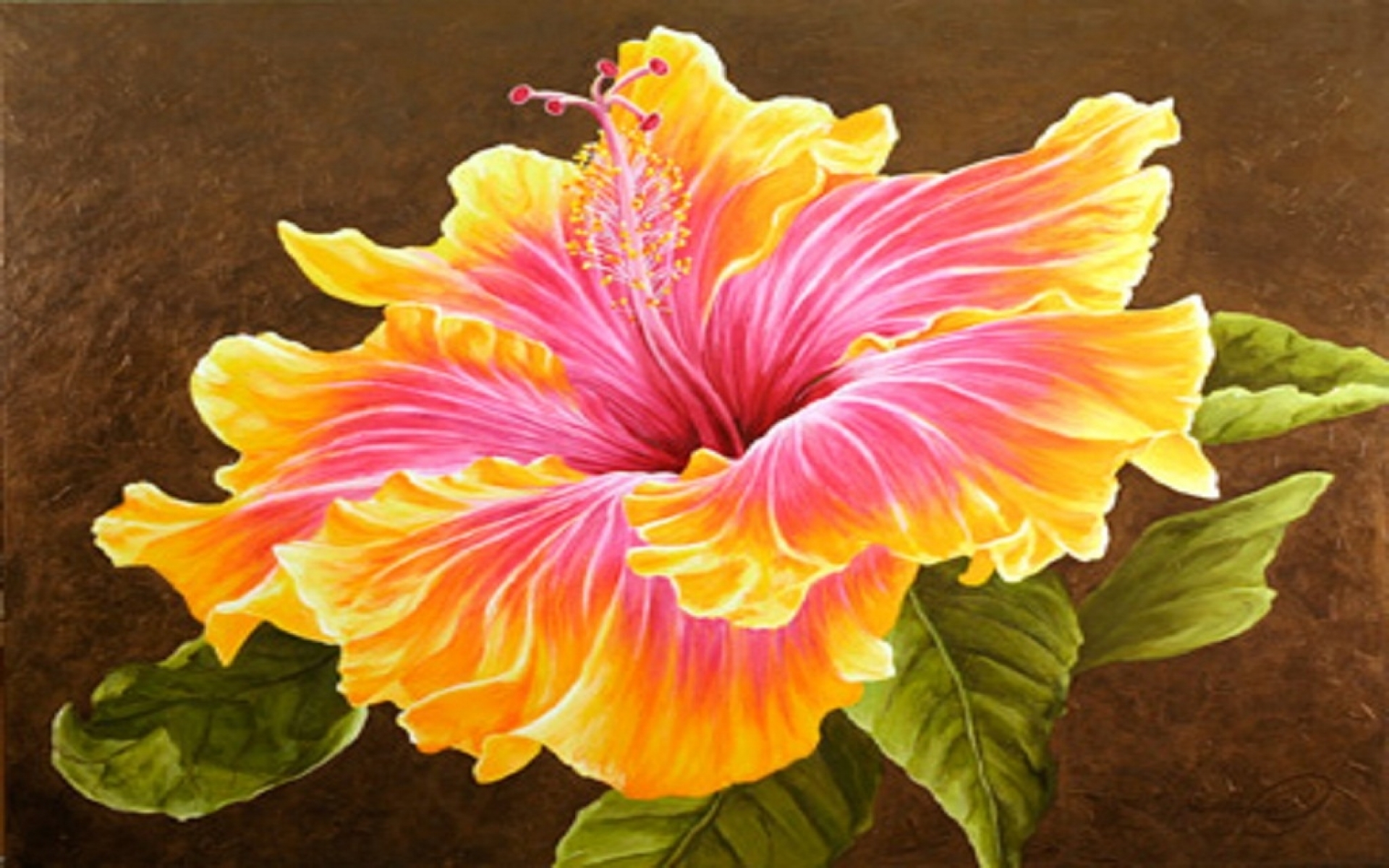 Beautiful Hibiscus Flower Wallpaper