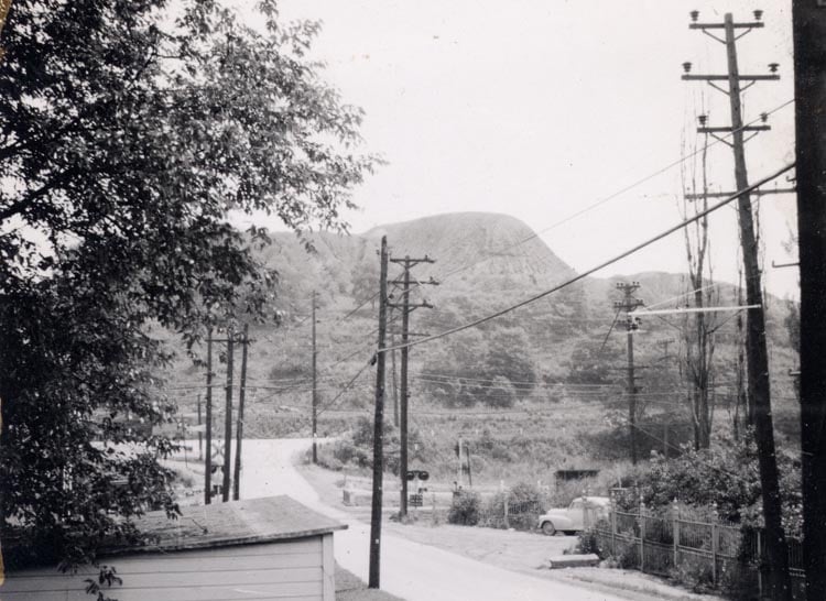 Title Washington Avenue Castle Shannon Hotel Description This Is