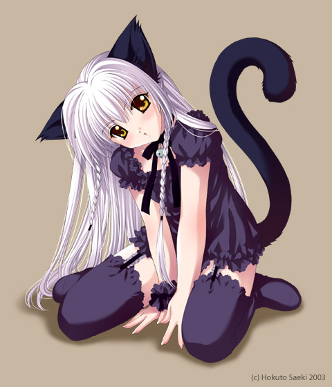 Catgirls images cute anime cat wallpaper and background photos