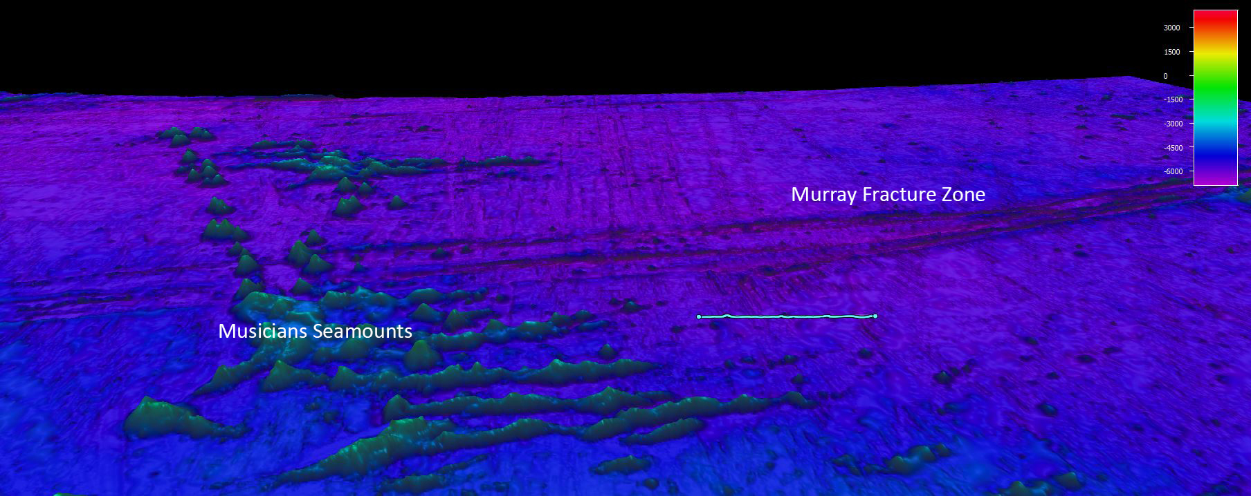 Deep Sea Symphony Exploring The Musicians Seamounts Background