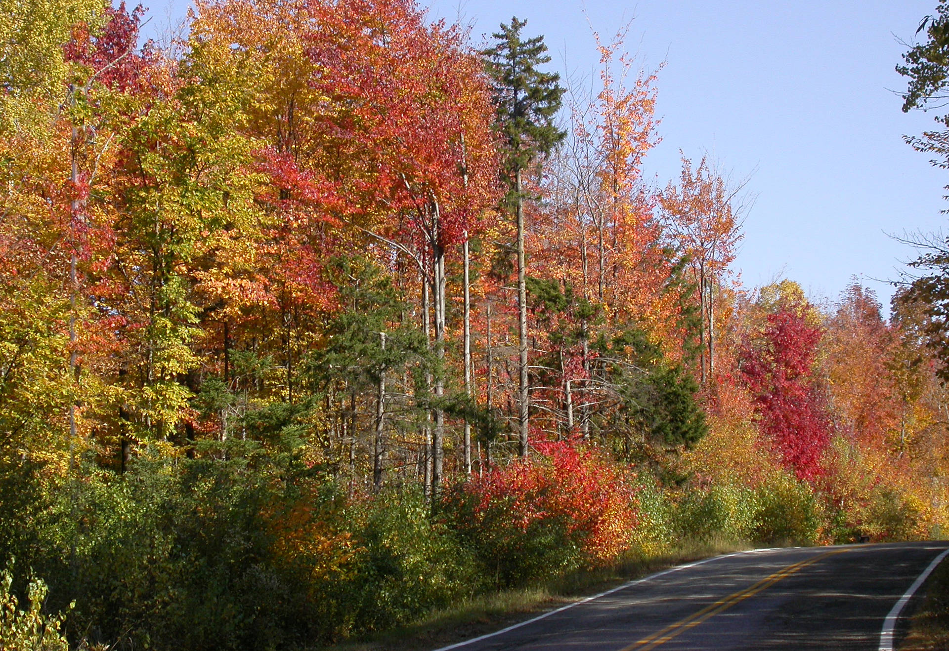 4k Autumn Wallpaper