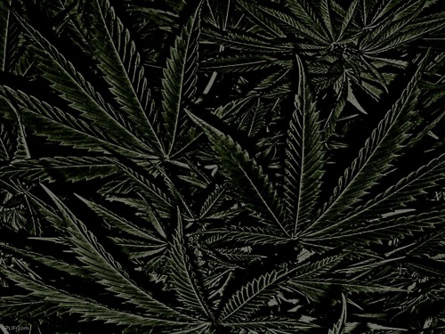 Weed Background For