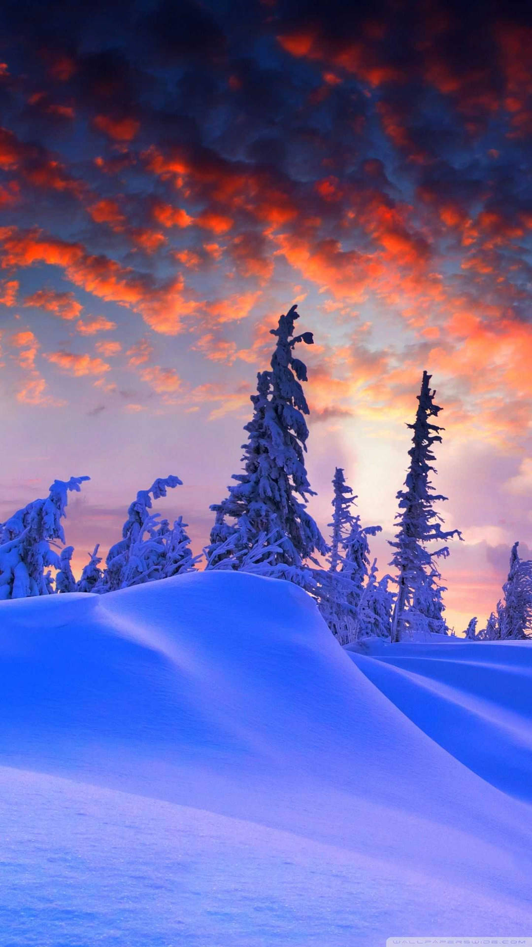 Winter iPhone Wallpaper