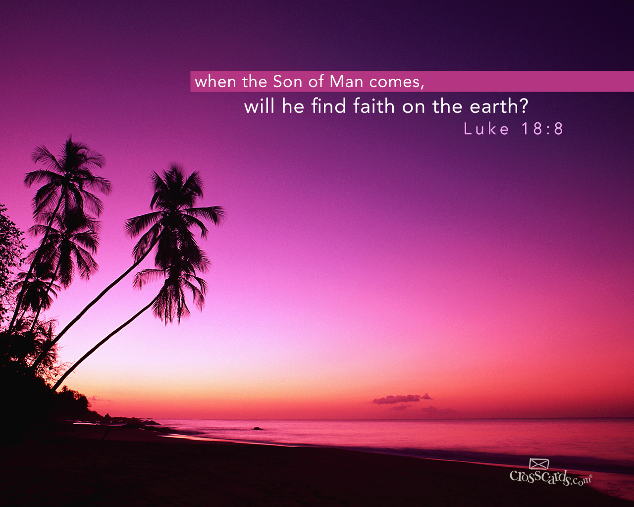 Sunset over a tropical beach with the Bible verse Luke 18:8: 