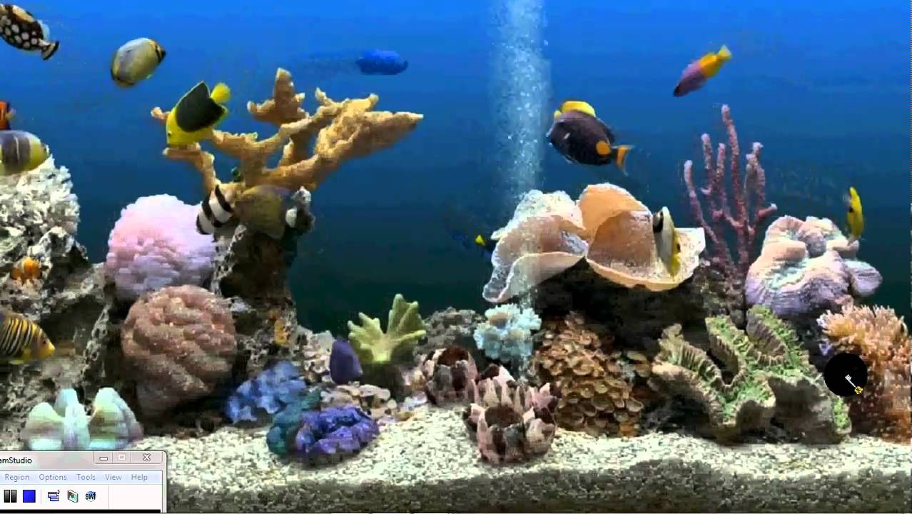  Aquarium as your Desktop Background Xp Vista Windows 7