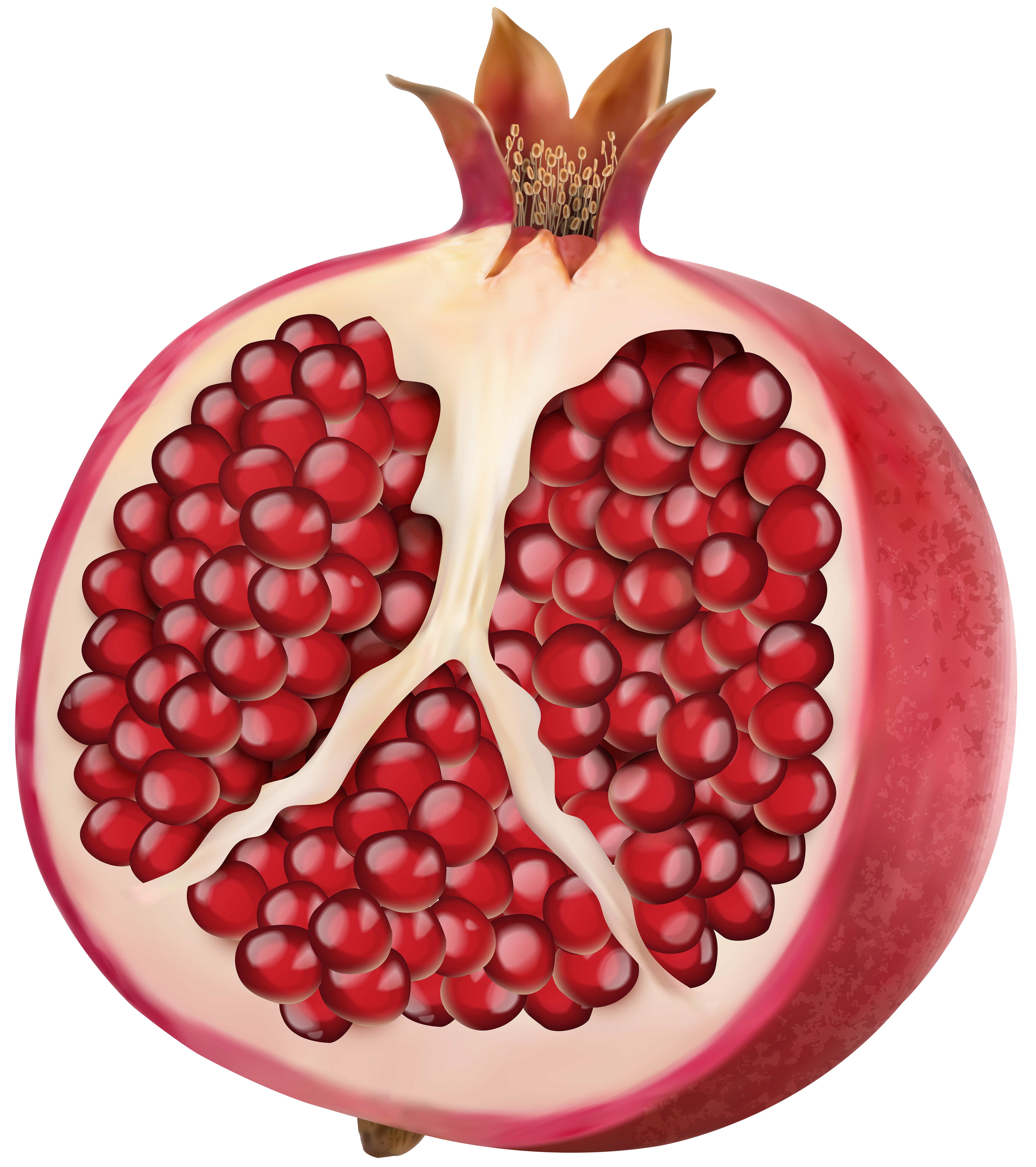 Pomegranate Cliparts Clip Art