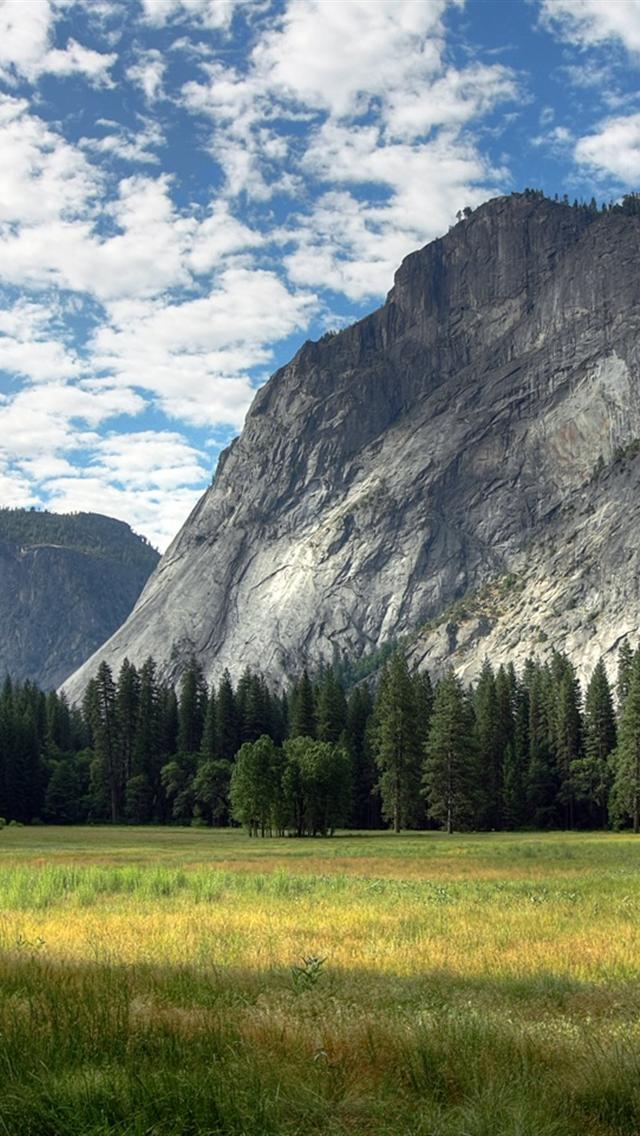 Yosemite Meadows iPhone HD Wallpaper