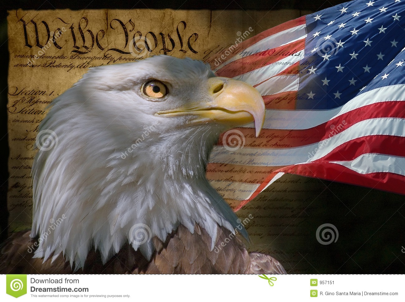 We The People Constitution Background