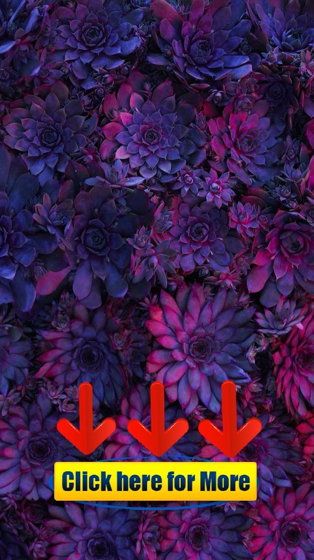 Natur Wallpaper iPhone Blumen Sign Up Button