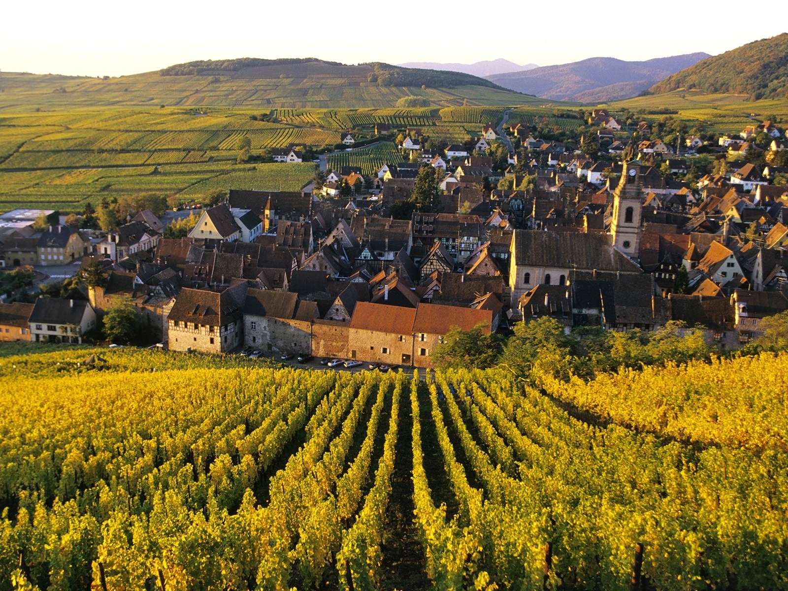 France Wine Village Landscapes Buildings Houses Wallpaper