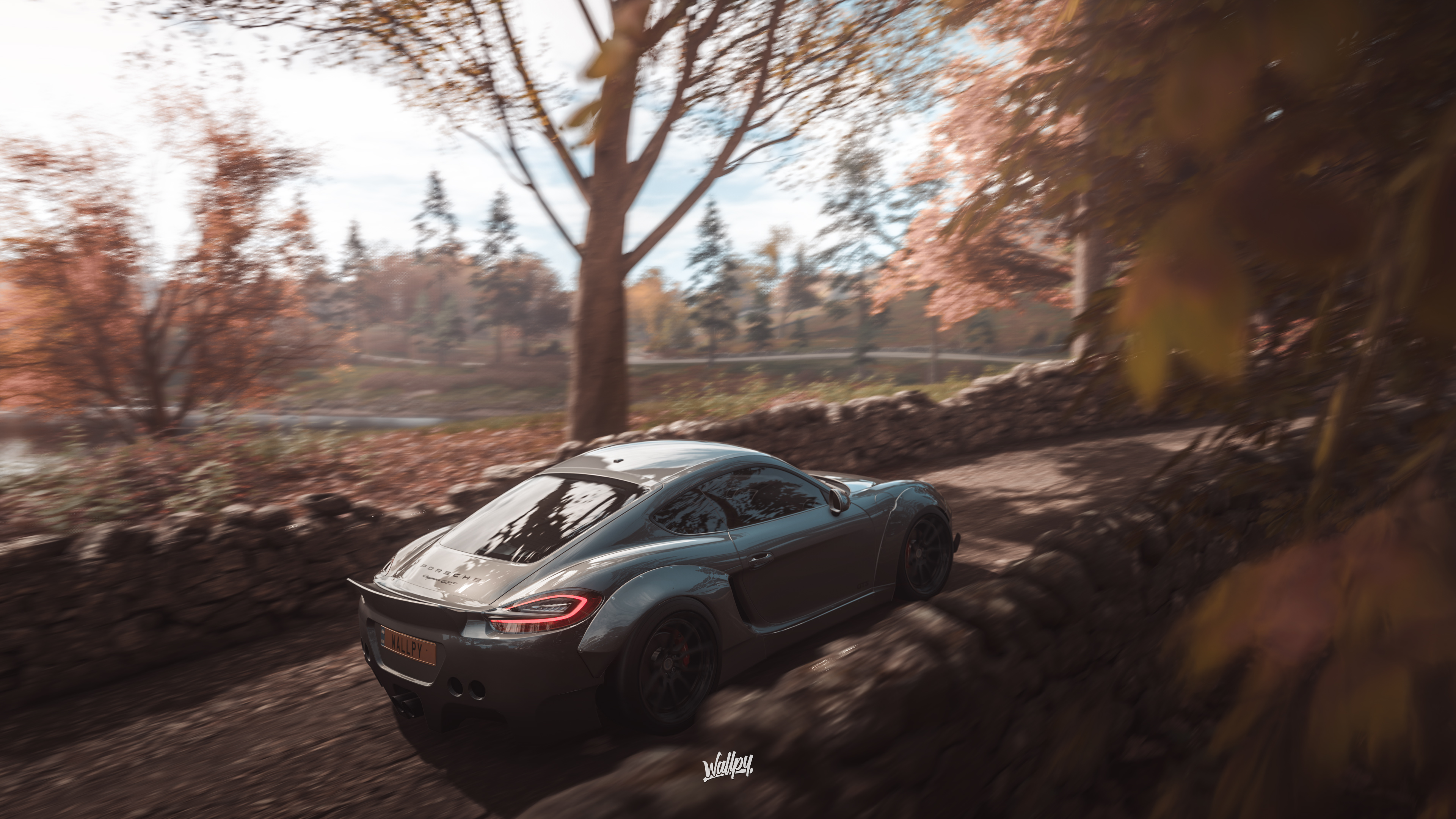 Forza Horizon Porsche Cayman 4k Wallpaper HD Games