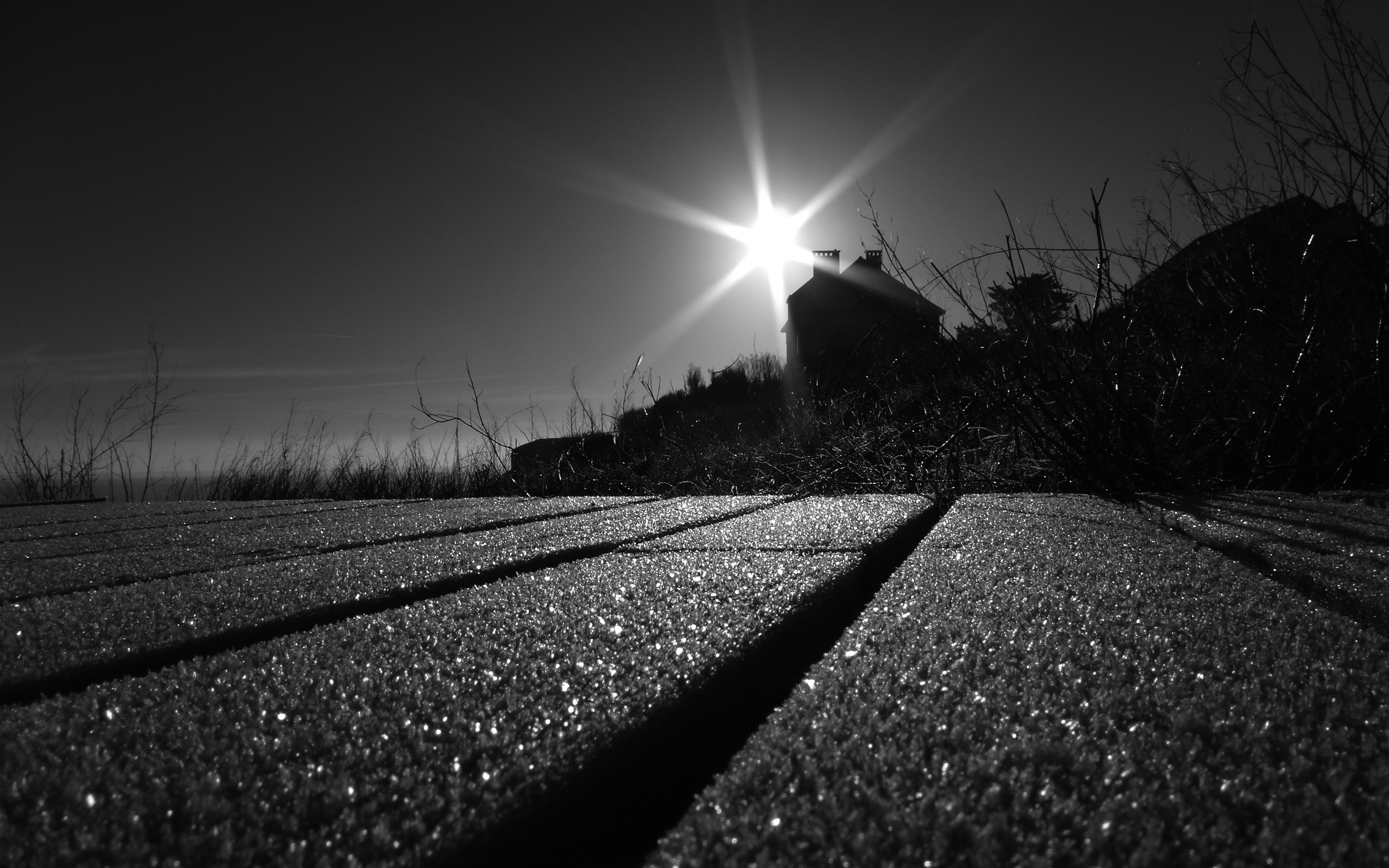 Photography Black White HD Wallpaper