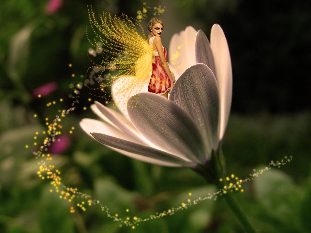 Fairy Live Motion Wallpaper Angel Desktop