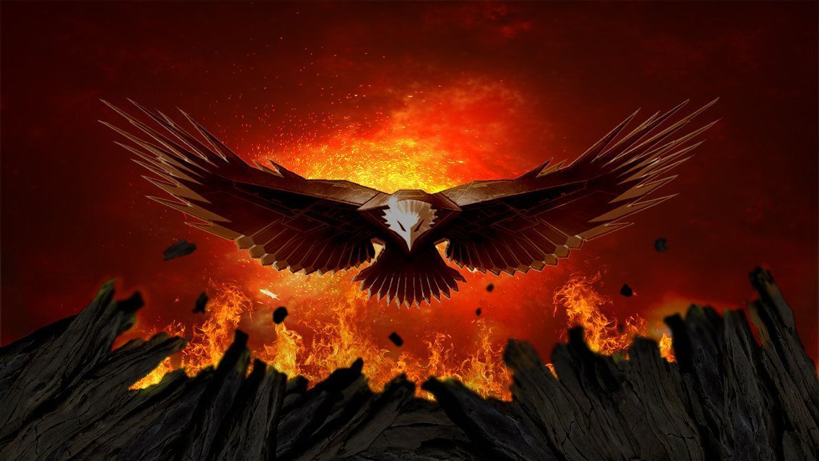 Fire Eagle Wallpaper Top Background
