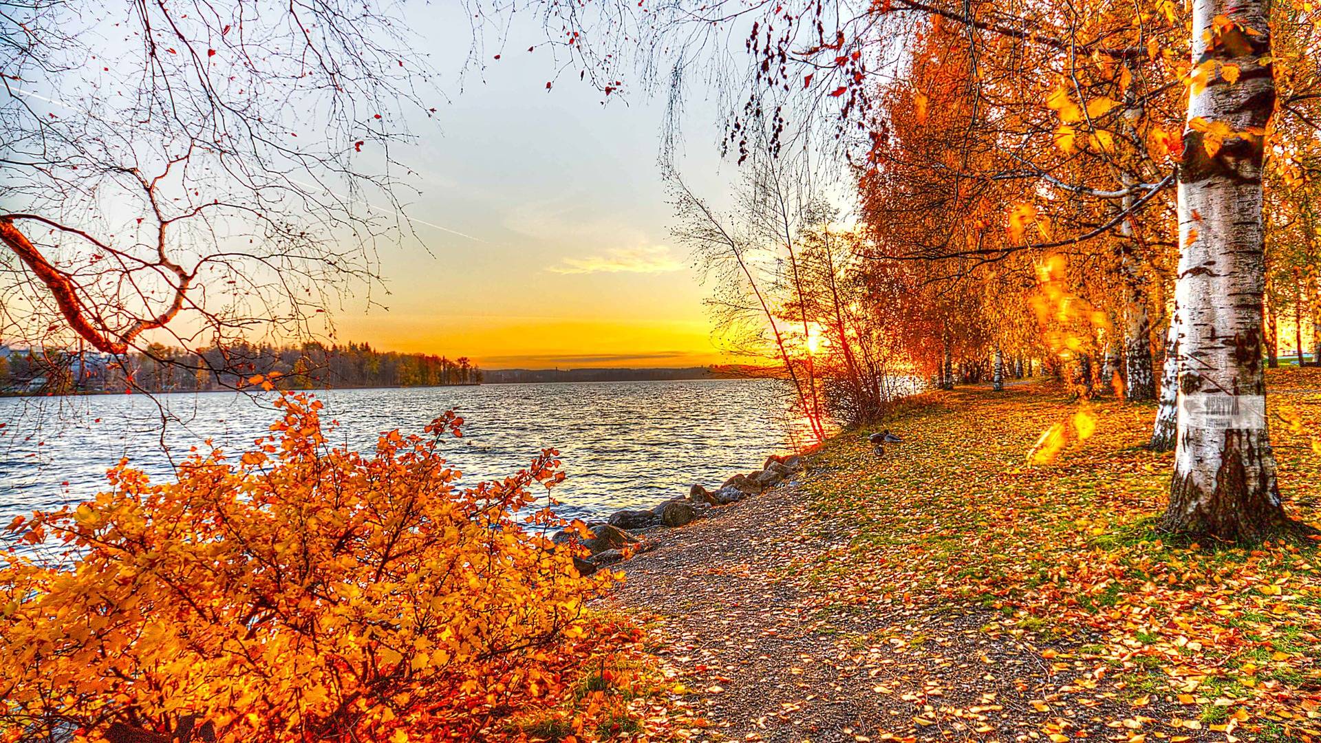 A stunning autumn landscape at sunset. Golden leaves adorn the trees lining a tranquil lake, with the warm hues of the setting sun reflecting on the water