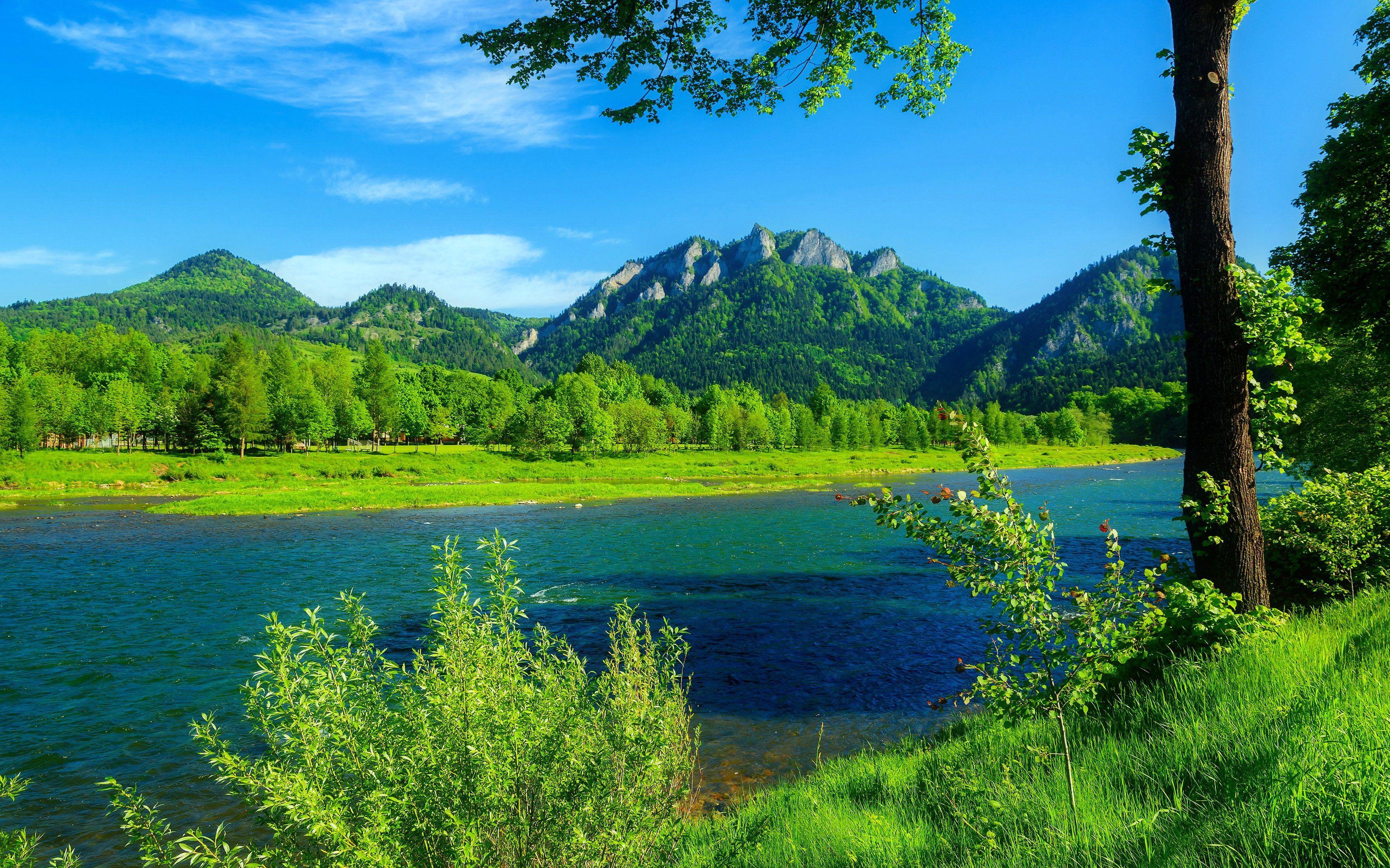 River Dunajec Poland Summer Landscape Mountains With Forest Green