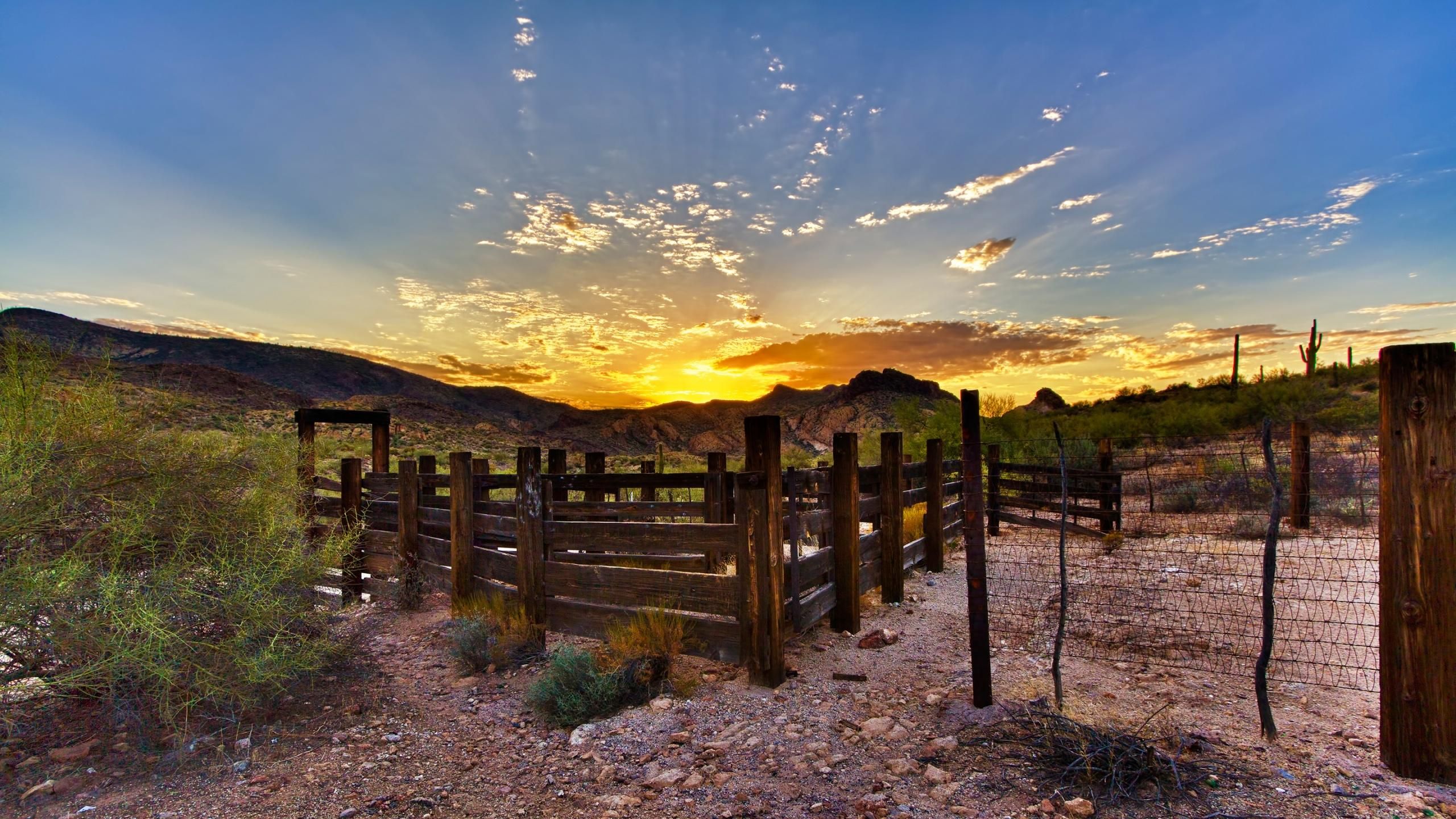 Cattle Ranch Wallpaper