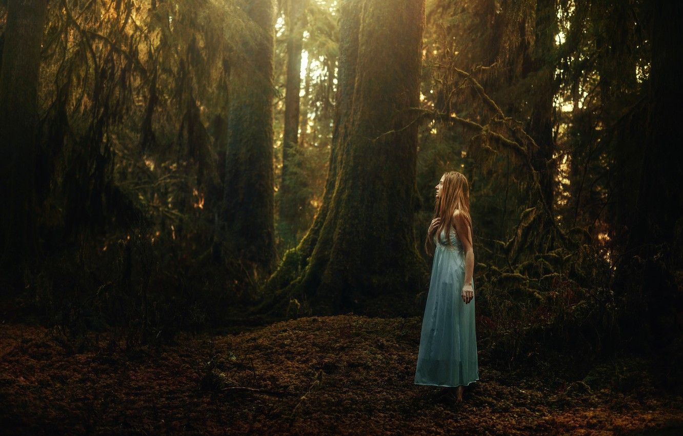 Wallpaper Forest Girl Tj Drysdale Quiet Wander Image For