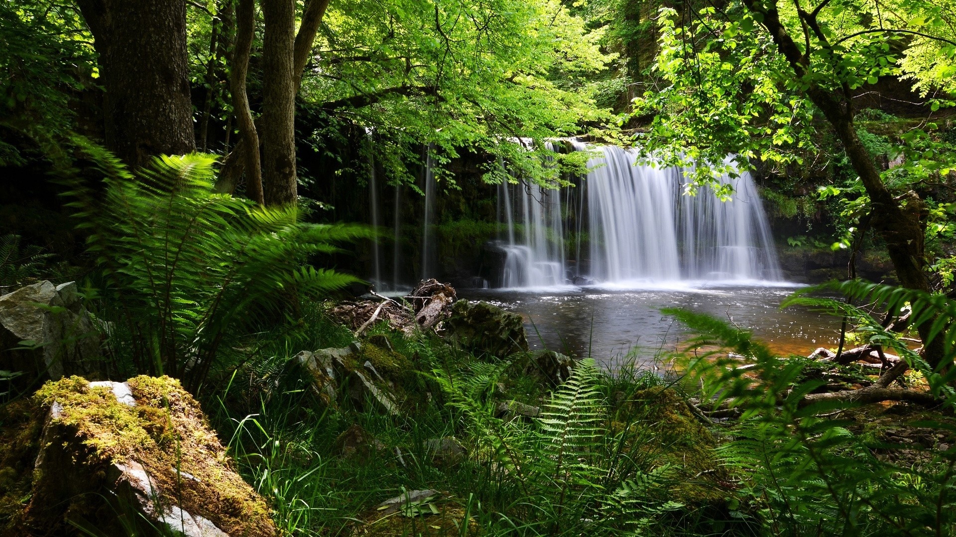 Full HD Nature Wallpaper 1080p