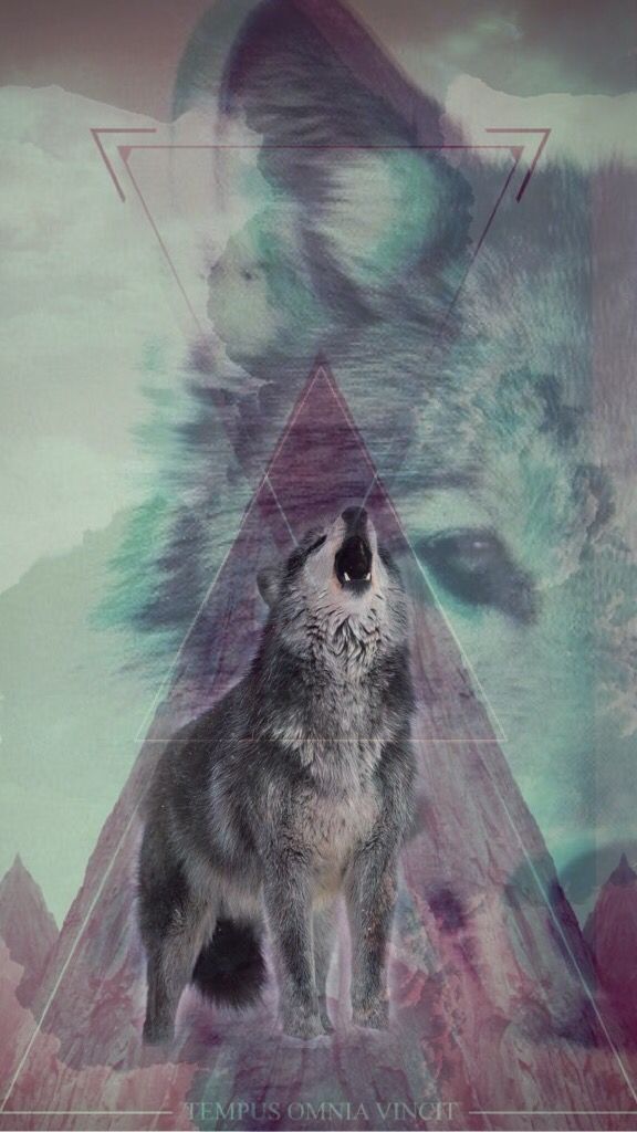 Wolf Wallpaper For My iPhone More