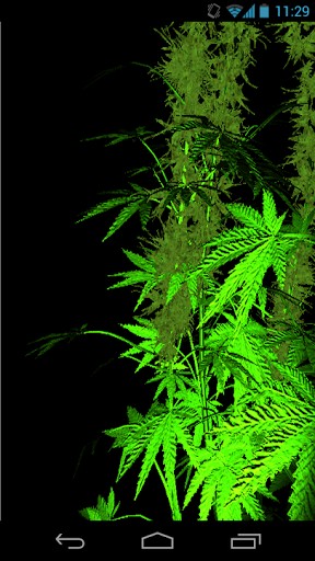 Weed 3d Live Wallpaper Full For Android Appszoom