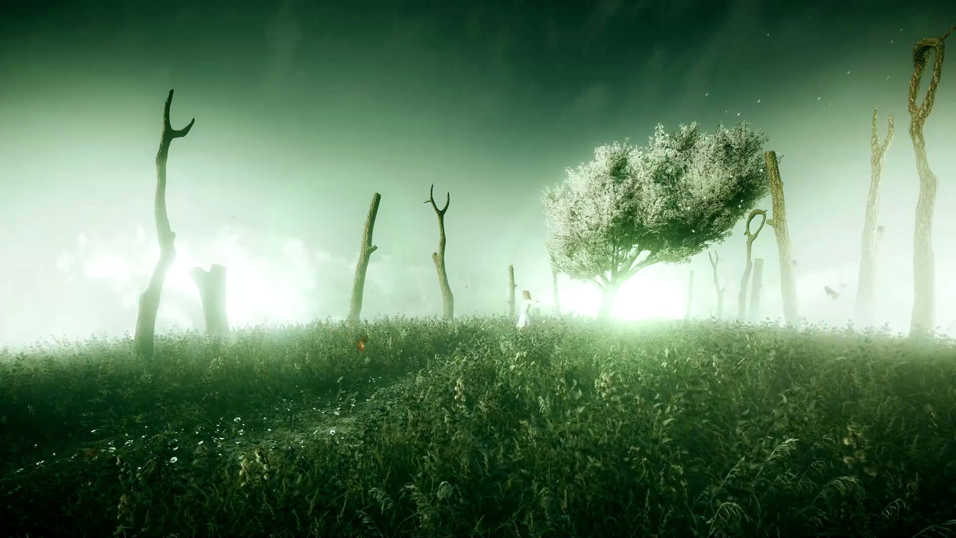 Far Cry Wallpaper