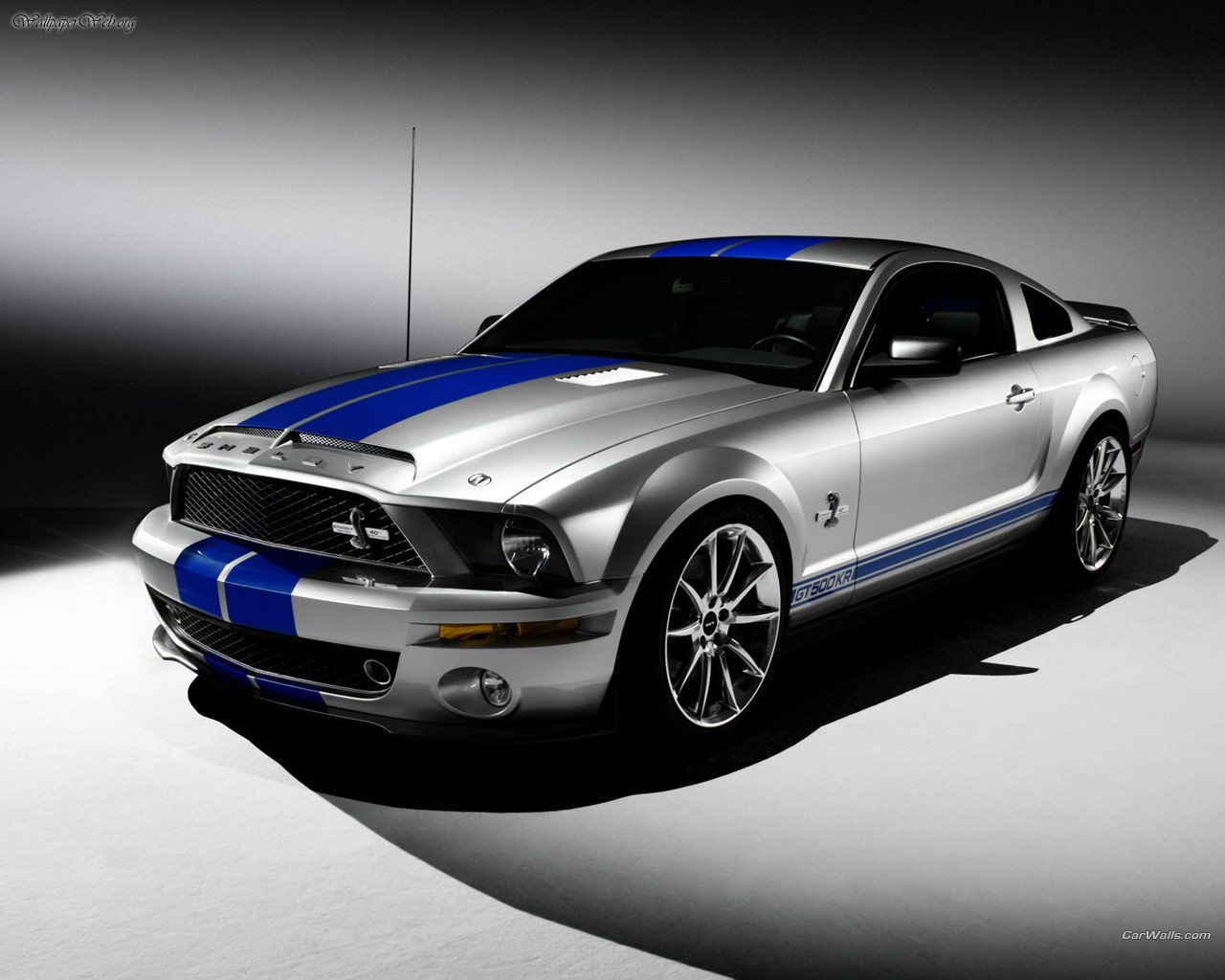 The Shelby Mustang Is A High Performance Variant Of Ford