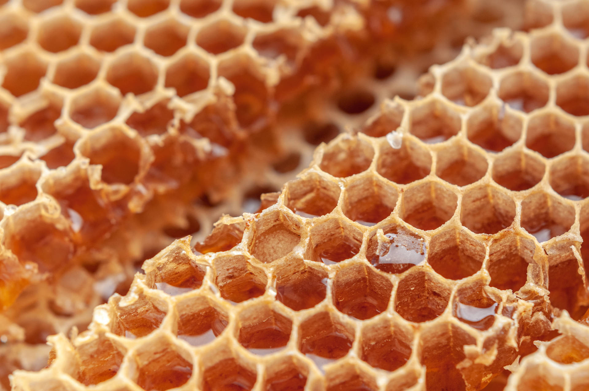Honeycomb Wallpaper