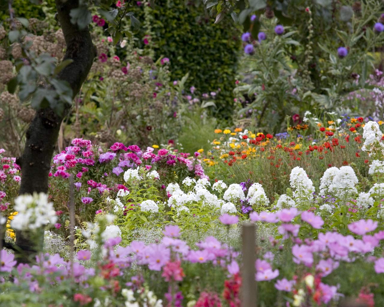 Beautiful Flower Garden Background Wallpaper