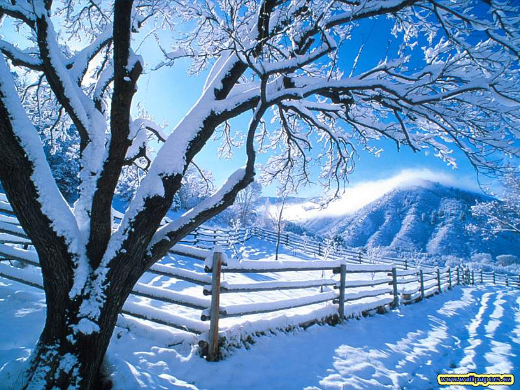 Image Landscape Snow Wallpaper Html