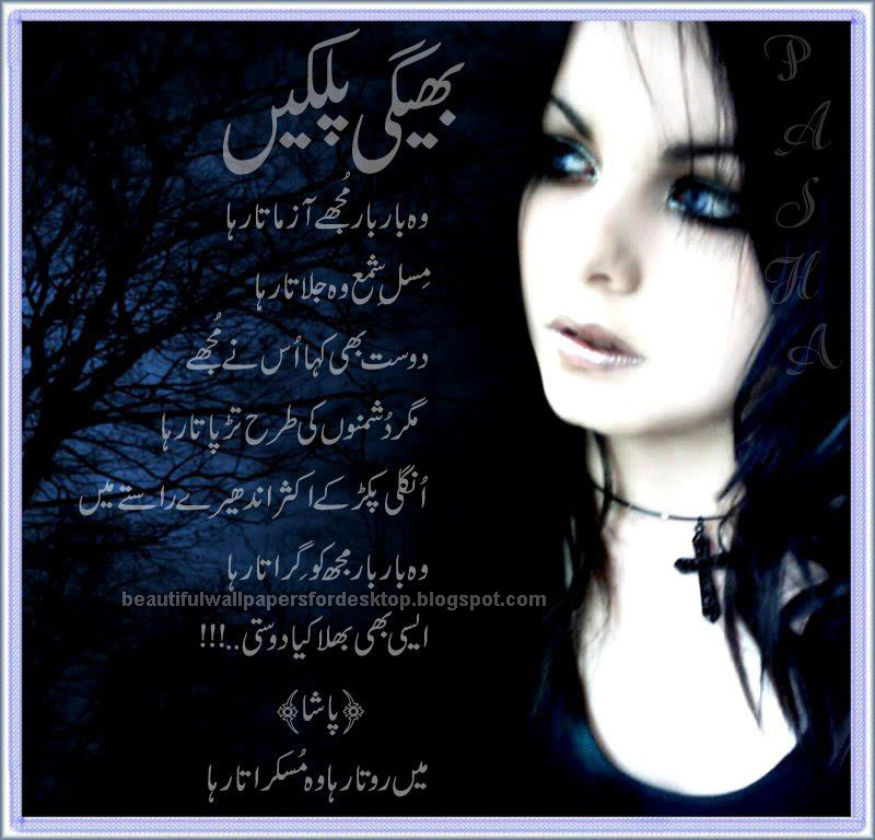 English Poetry Sindhi Poetry Punjabi Poetry