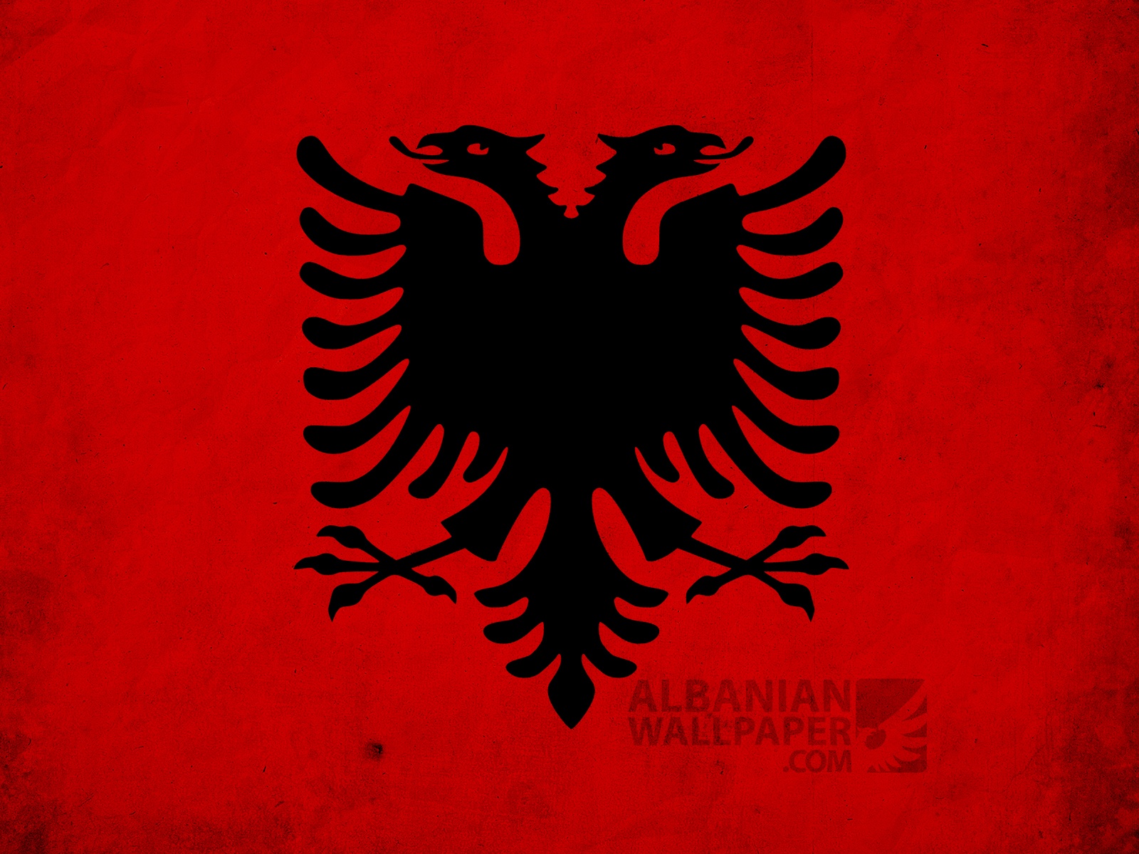 Pin Photos From Albanian Eagle Tattoos On Myspace