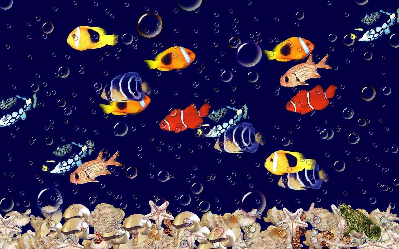 Gratis 5d Aquarium Wallpaper Hidup