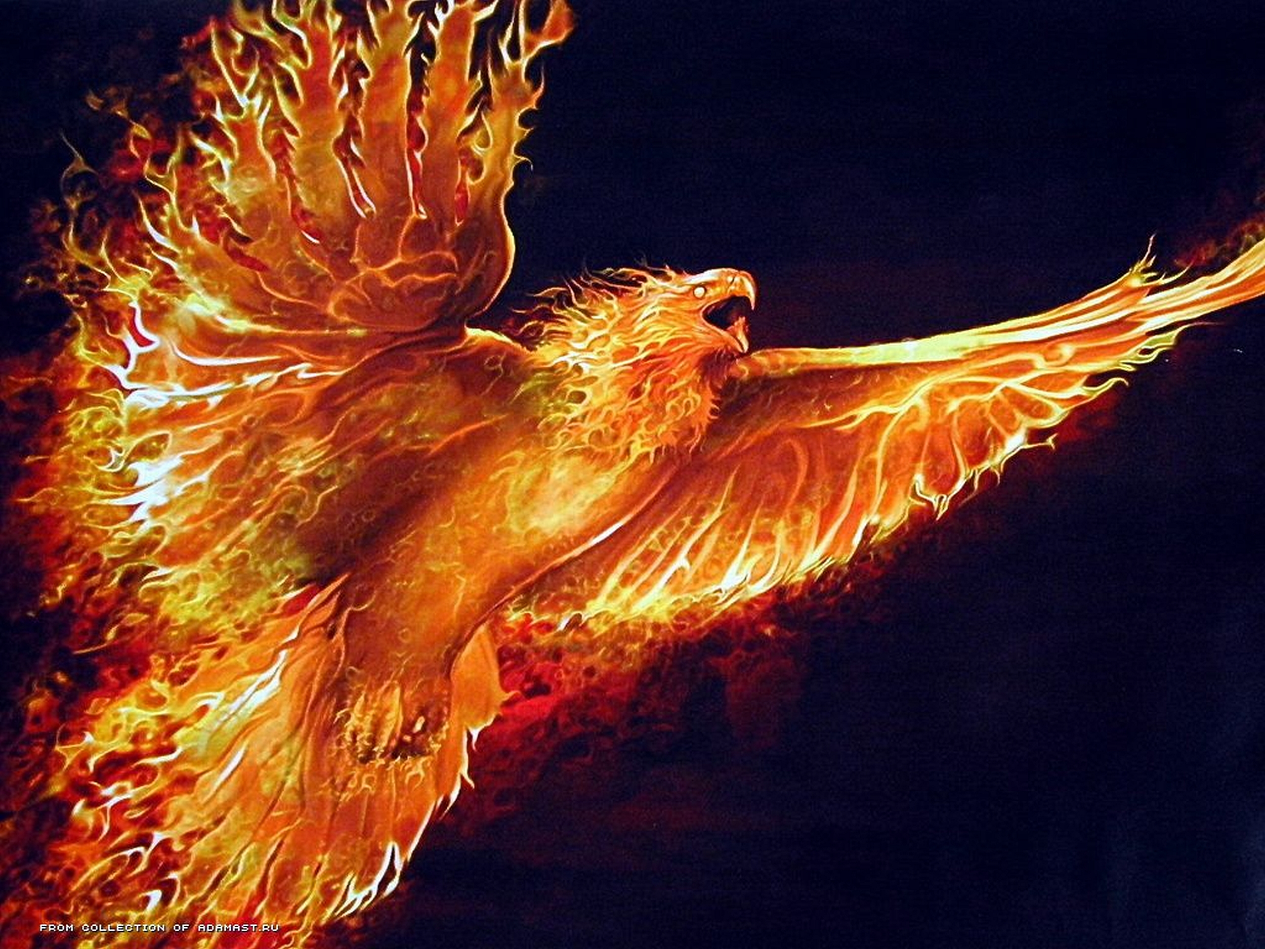 Fantaisie Phoenix Feu Oiseau Wings Image De Synth Se Fond D Cran