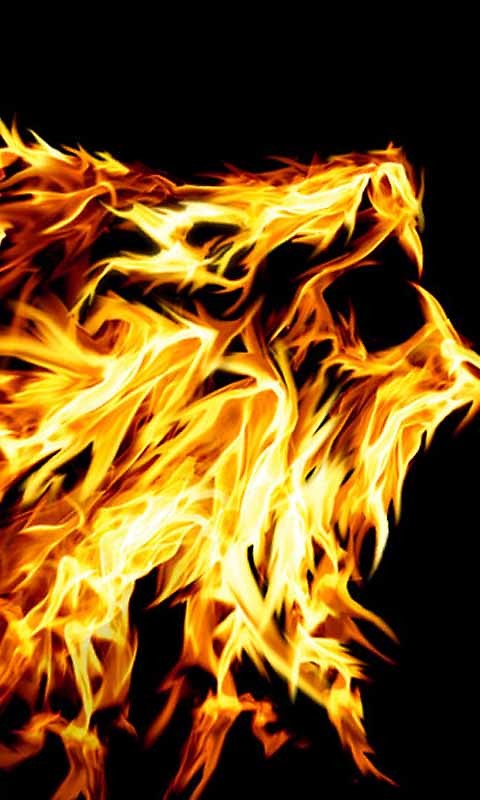 Cool Fire Lion Live Wallpaper Android