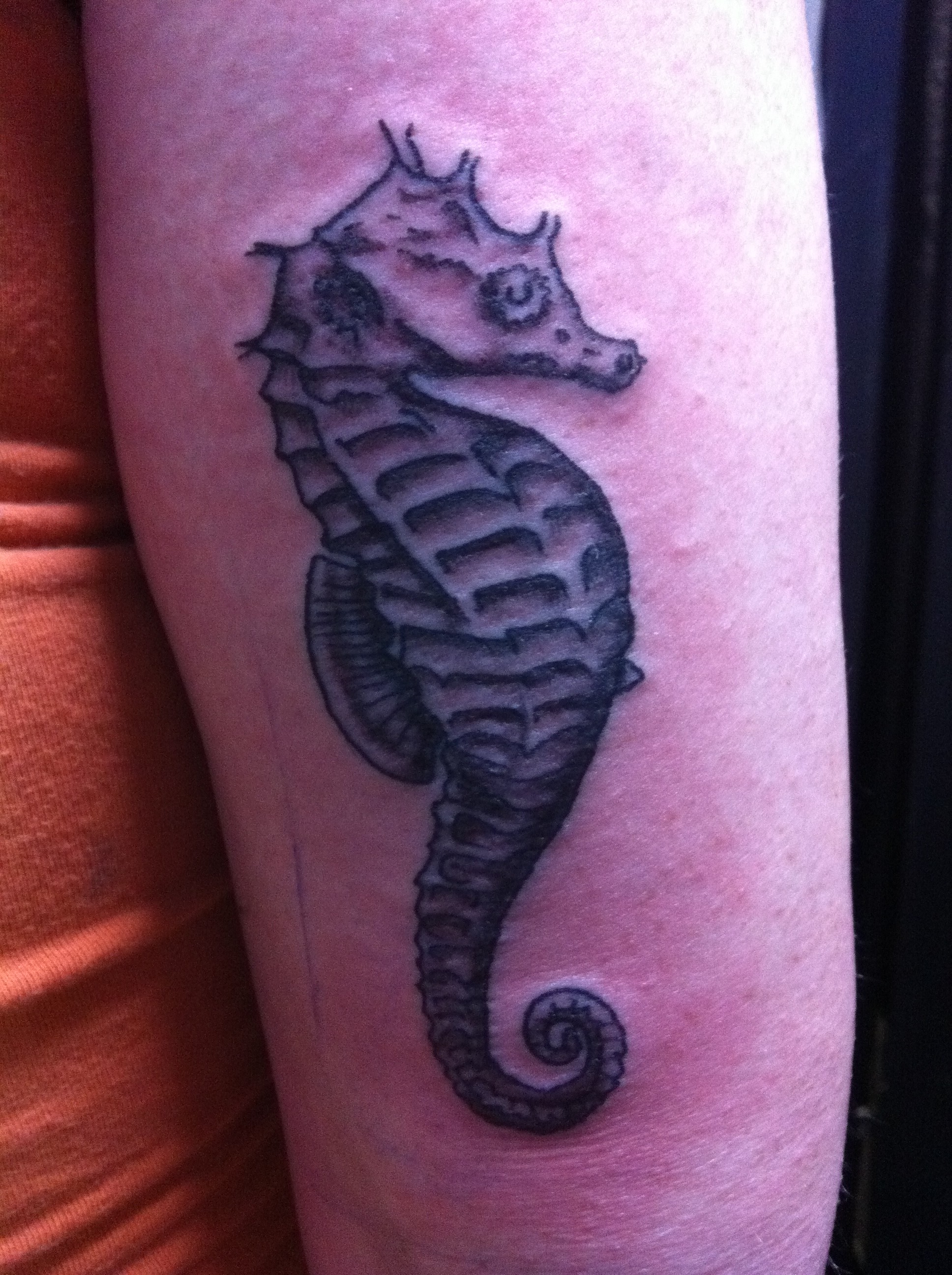 Embossed Seahorse Tattoo Style Design On Arm My Wallpaper Hub