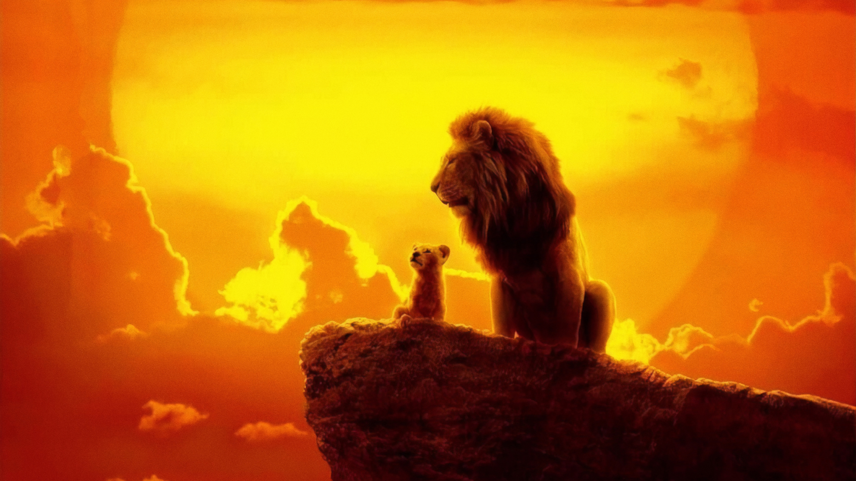 The Lion King 4k Wallpaper HD Movies Image Photos And