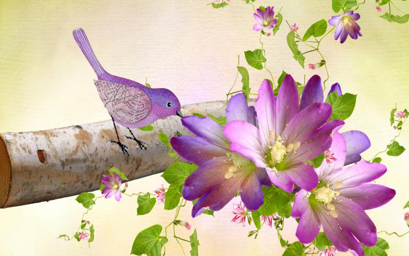HD Purple Birds Flowers Wallpaper Download Free   115870