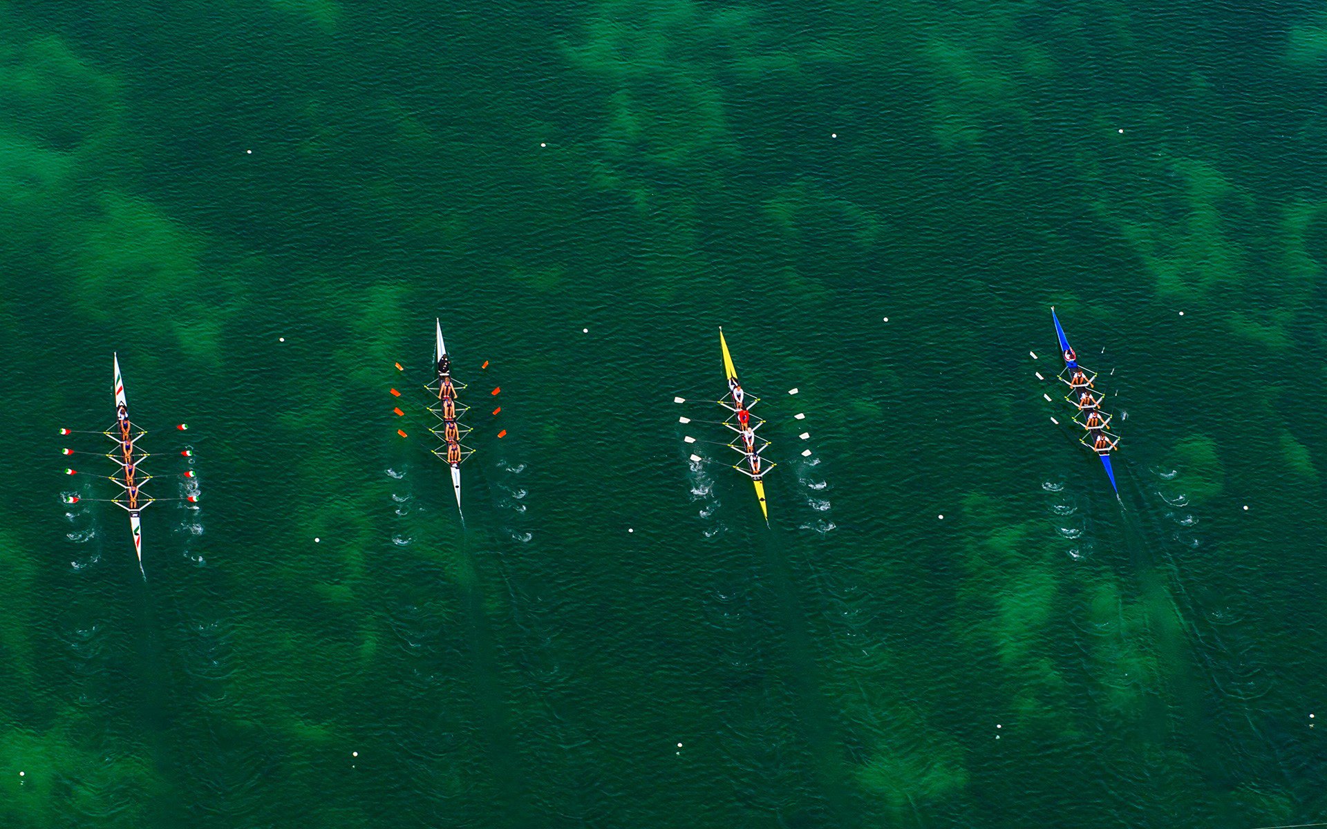 Rowing HD Wallpaper Background Image
